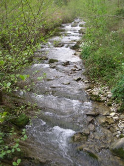 Río Golako Erreka